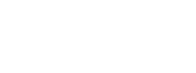 ZOOMEX Haas F1
