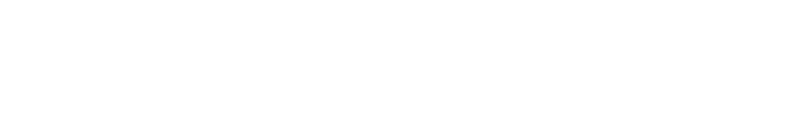 Partner 12