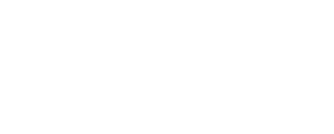 Partner 3