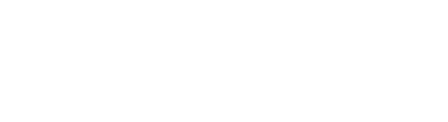 Partner 6